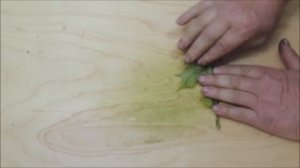 Половая дисфункции у мужчин. "Кленовый гвоздь"  или рецепт изготовления  мужского чая  (tea).