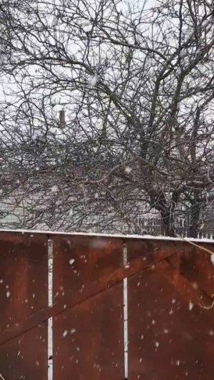 20. 02. 26 #снегопад ❄❄❄