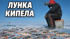 Окунь СОШЕЛ С УМА! Лунка кипела!