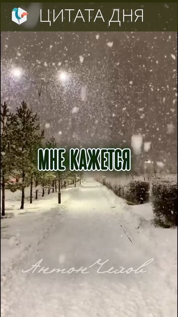 #цитата_дня