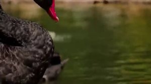 УТРО ИНГУШЕТИЯ 240226