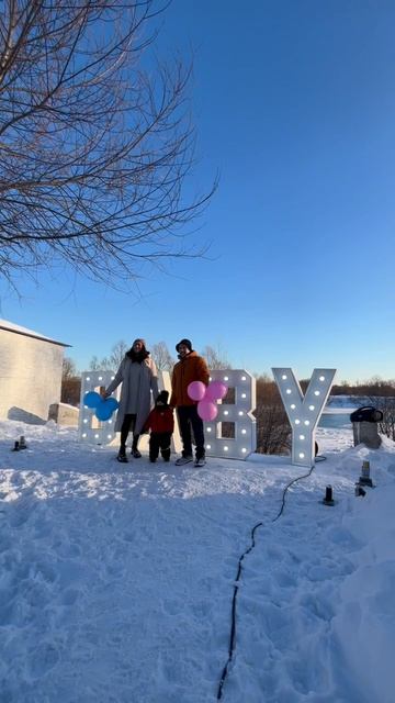 Салю на гендер пати Уфа