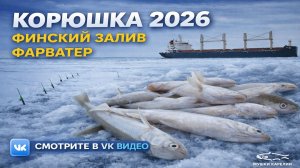 Ловим корюшку . Февраль 2026.