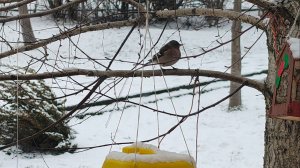 Зима на Кубани 2026