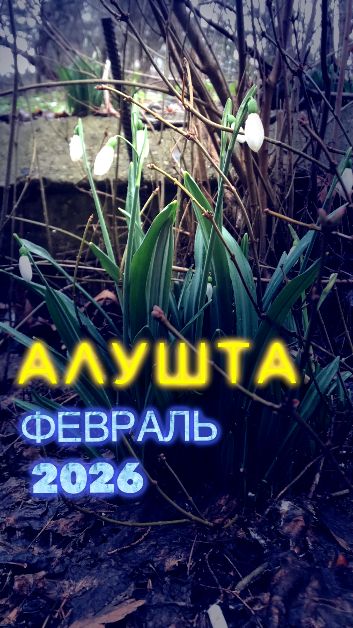 АЛУШТА 🔥 ФЕВРАЛЬ 2026 #крым #зима #красота #февраль #2026 #видео