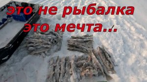 Крутейшая Русская Рыбалка в Сибири. Ловим много рыбы на котлеты Смотреть Бесплатно без Рекламы