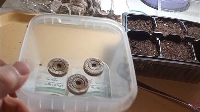 как и когда ✍️ посадить ЭУСТОМУ смотреть онлайн