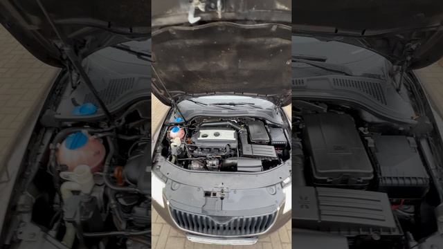 IMG_6570 смотреть онлайн