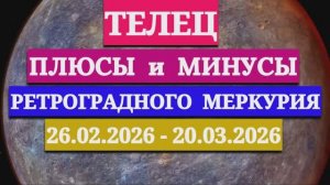 ТЕЛЕЦ: "СОБЫТИЯ от РЕТРОГРАДНОГО МЕРКУРИЯ c 26 ФЕВРАЛЯ по 20 МАРТА 2026 года"!!!