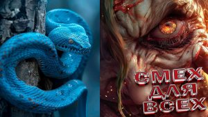 СМЕШНЫЕ ПРИКОЛЫ | ЛУЧШЕЕ ЗА ВСЕ ВРЕМЯ | НОВЫЕ ПРИКОЛ УГАРНЫЕ ВИДЕОПРИКОЛЫ