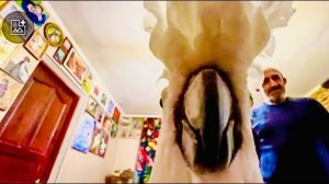 Грозный Жорик хочет общаться! Когда перед твоим лицом ОГРОМНЫЙ КЛЮВ!