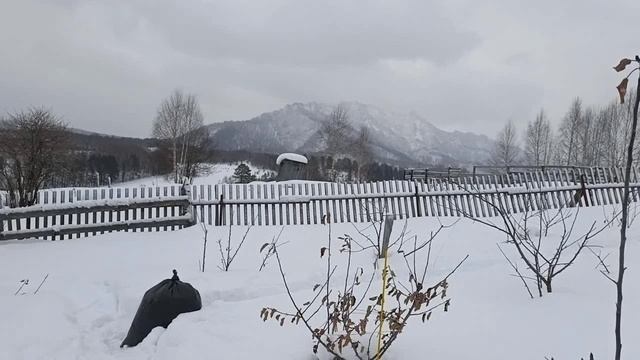 Беседа по предложеной теме от Александра Смотрителя, морозостойкость растений смотреть онлайн