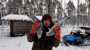 Изба в дикой Карелии рыбалка в экстремальных условиях. ПРОВЕРИЛИ ЖЕРЛИЦЫ И ОБАЛДЕЛИ. ЖИВЁМ В ИЗБЕ