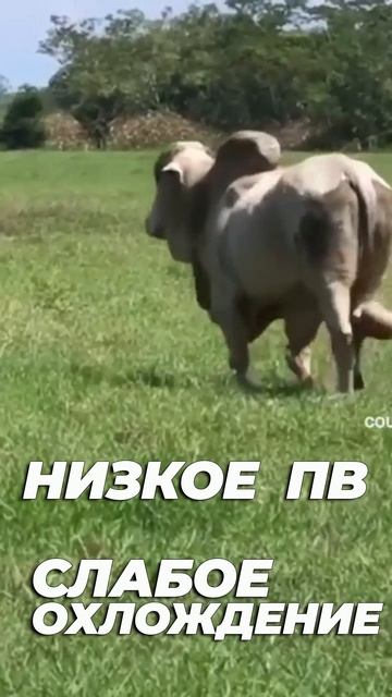 Тот самый сварщик, которому всё не так.