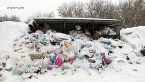 Несмотря на почищенные дороги региональные оператор не вывозит мусор со дворов