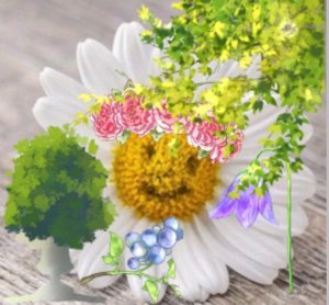 подпишись на мой ТГК канал Fanperepolox