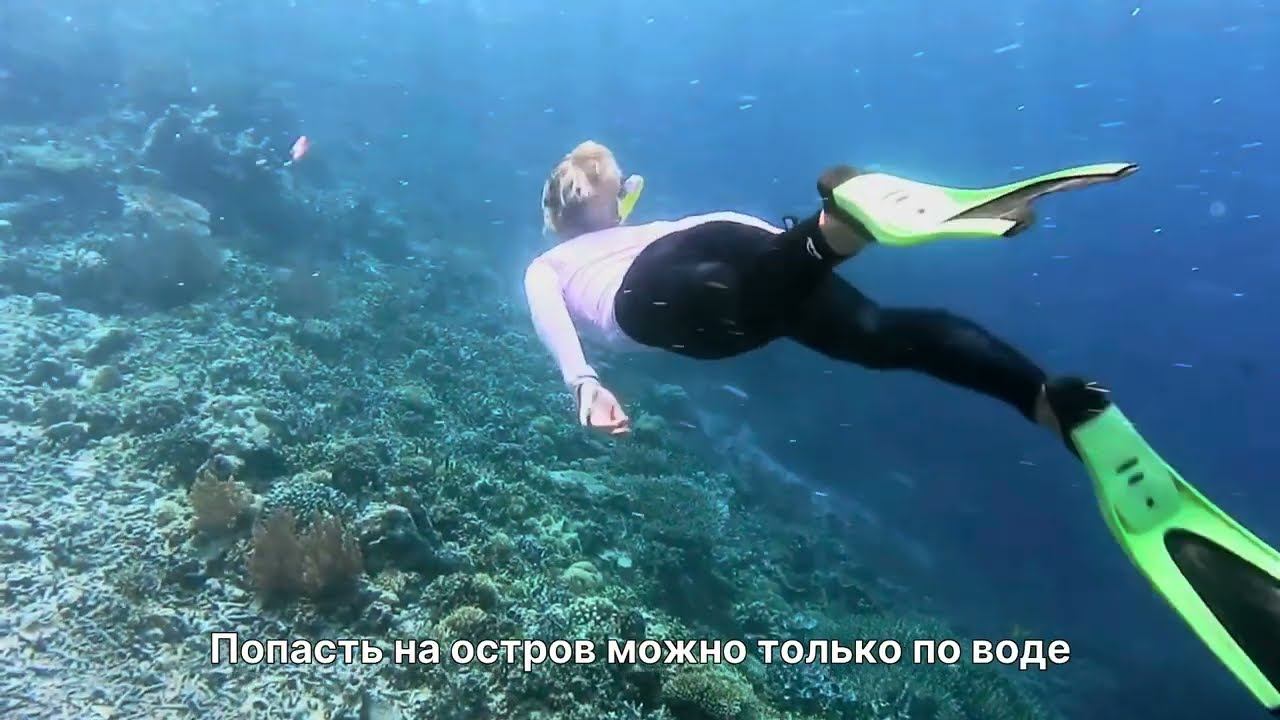 Остров Тортуга — Легендарная земля пиратов | Природа и факты