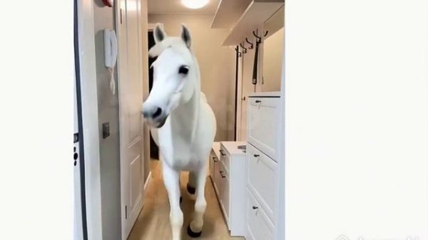 9063f27207f911f18676ae63e134159b