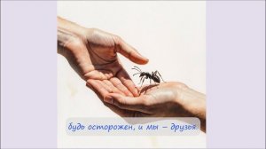 71. Я крошка-муравей