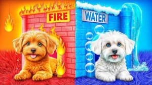 Строим секретные домики для животных! Огонь vs Вода