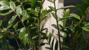 Ну вот и всё...