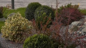 Всем в сад. Анонс. Канал Загородный