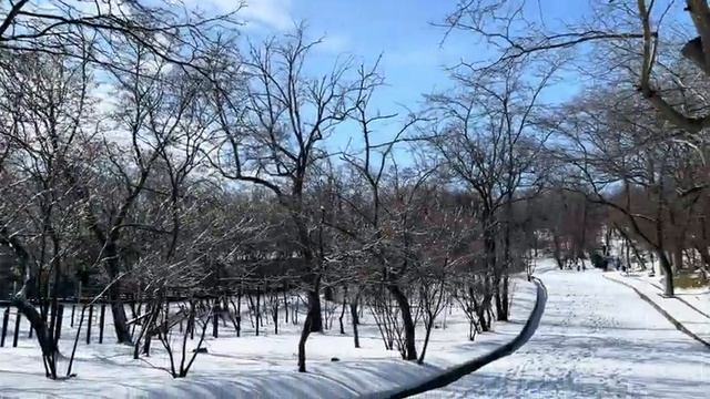 ОДЕССА 20 ФЕВРАЛЯ 2026. ПОДРОСТКИ ВНОСЯТ СЕБЯ В МИРОТВОРЕ смотреть онлайн