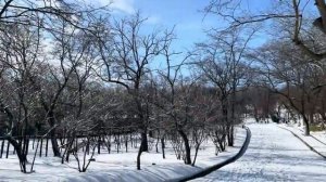 ОДЕССА 20 ФЕВРАЛЯ 2026. ПОДРОСТКИ ВНОСЯТ СЕБЯ В МИРОТВОРЕ