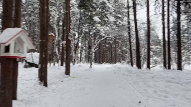 Вело-заезд через озеро на КП-2, Эко-тропа «Беличий хвост»