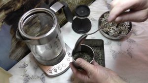 Цетрария + зелёный  чай или русский копорский  Иван-чай (IFN для иммунитета человека), interferon.