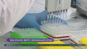 В России зафиксировано пять случаев заражения вирусом оспы обезьян: как защитить себя