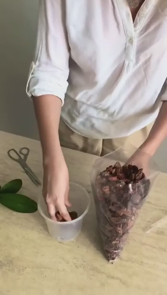 Пересадка орхидеи в грунт Орхимания (от Баркинвуд)