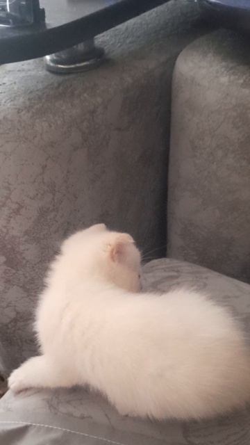 Не простой путь