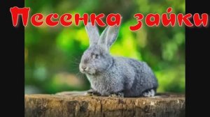 ПЕСЕНКА ЗАЙКИ (песенка для детей)