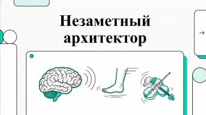 13. Рефлексы мозжечка