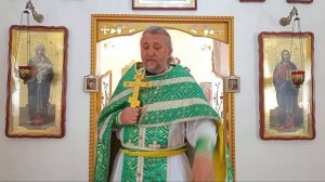 Душевные болезни и духовное исцеление. Уроки преподобных отцов. Священник Игорь Сильченков.