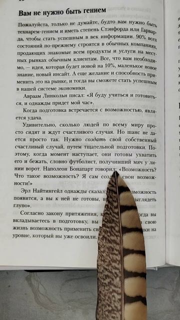 Создай свою удачу. Сильные слова из книги Создай свою удачу. Сильные слова из книги