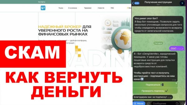 Vexor Castle (vexor-castle.org, client.vexor-castle.org) обзор, отзывы. Скам?