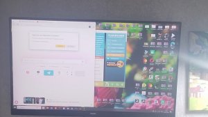 играем в майнкрафт + показываю как установить моды на майнкрафт \ Hamster and cat Minicraft