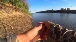 Дедовская снасть на палке сработала! Сом и сазан на донки с берега! Рыбалка в Астрахани 2025