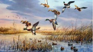 BULT:Hunting simulator