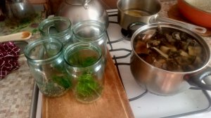 Соление грибов!! Как я солю грибы!! #Шампиньоны