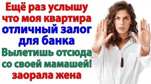 Свекровь хотела кредит под мою квартиру? Теперь живет в гараже!| Истории Из Жизни | Реальная История