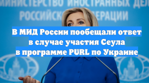 В МИД России пообещали ответ в случае участия Сеула в программе PURL по Украине