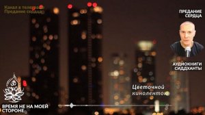 Время не на моей стороне. Аудиокниги Сиддханты (Вячеслава Чернина)