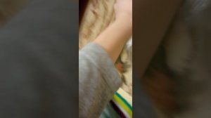 селендж с бутылкой от тархуна