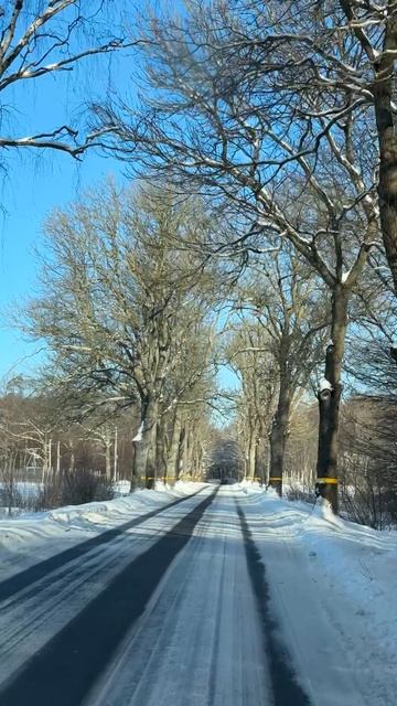 Зимние дороги Калининградской области