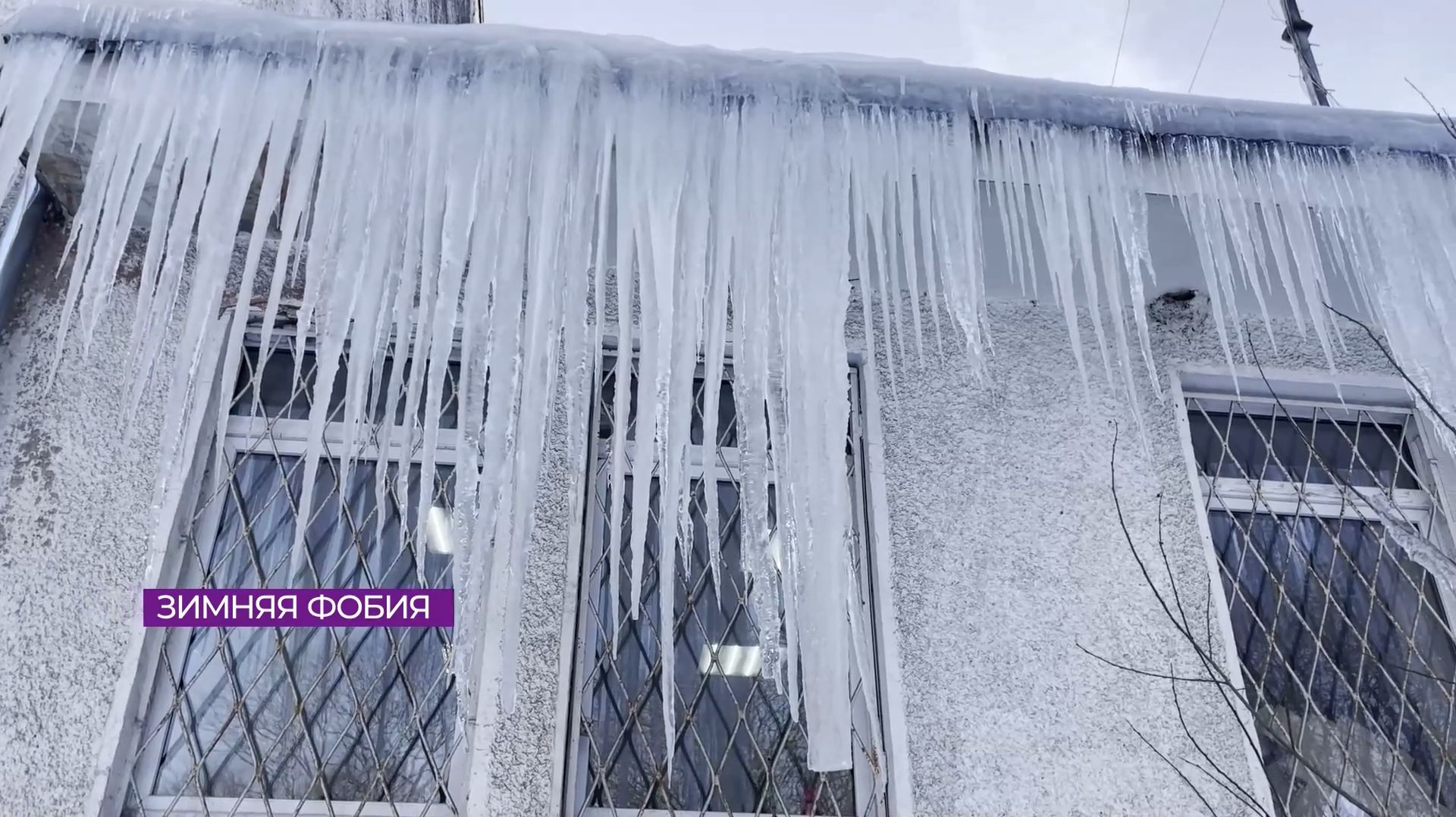 Новости Калининграда — итоги недели, 22 февраля 2026 каскад тв