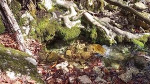 Водопады Байдарской долины. 15.02.26.