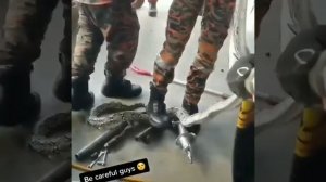 Вот как следует менять змеевой фильтр.